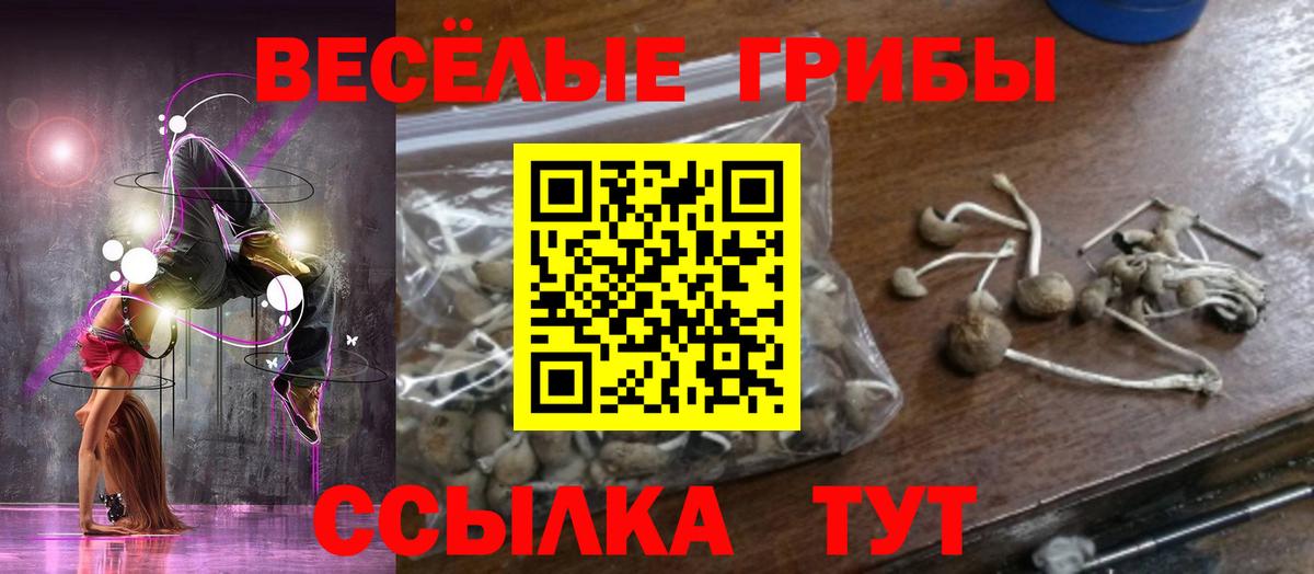 Галлюциногенные грибы Psilocybine cubensis Тольятти