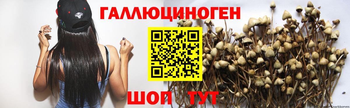 Галлюциногенные грибы прущие грибы  Вход с VPN  Тольятти 